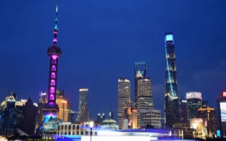 2025年上海各区品茶论坛深度观察:一盏清茶里的城市脉动 2025年上海各区品茶论坛深度观察:一盏清茶里的城市脉动